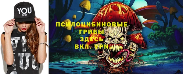 ECSTASY Михайловск