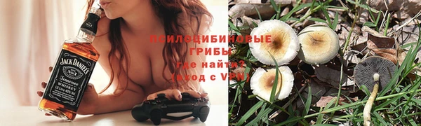 ECSTASY Михайловск